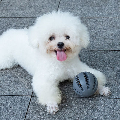 Speelgoed voor honden Silicone bal voor interactief tanden reinigen en lekke voedingsmiddelen uitdelen