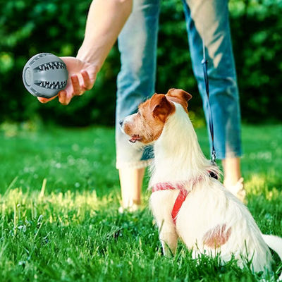 Speelgoed voor honden Silicone bal voor interactief tanden reinigen en lekke voedingsmiddelen uitdelen