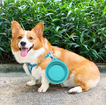 Reizigersvriendelijke silikoon pet bowl voor slow food en drinkwater op avonturen in de buitenlucht