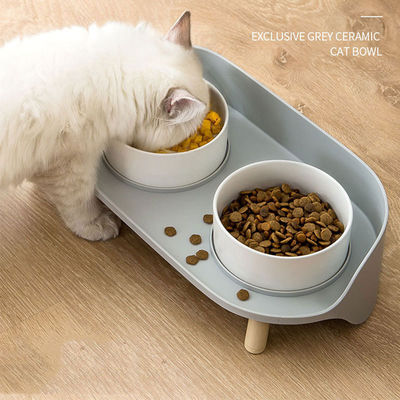 Geen tijd instellen Verhoogde keramische huisdier schalen voor katten en honden Custom porseleinen voeders