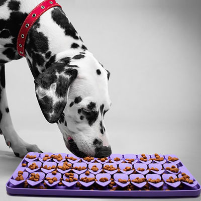 Silicone Slow Feeders Snuffle Mat Eerste Proef voor vrije temperatuur weerstand -40 tot 250